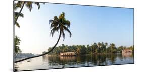 Kerala Backwaters near Alappuzha (Alleppey), Kerala, India-null-Mounted Photographic Print