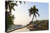 Kerala Backwaters Near Alleppey (Alappuzha), Kerala, India-Peter Adams-Stretched Canvas