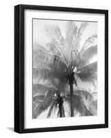 Kerala Focus-Bill Philip-Framed Giclee Print