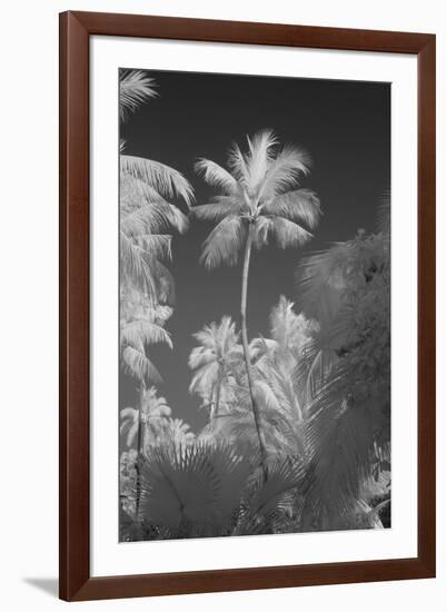 Kerala I-Bill Philip-Framed Giclee Print