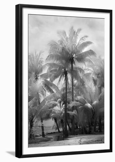 Kerala II-Bill Philip-Framed Giclee Print