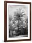 Kerala II-Bill Philip-Framed Giclee Print