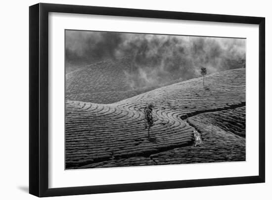 Kerala India Travel Background - Green Tea Plantations in Munnar, Kerala, India - Tourist Attractio-f9photos-Framed Photographic Print