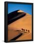 Essential Black
