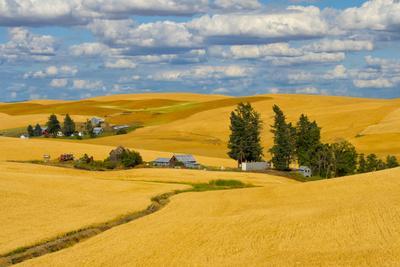 Clouds above farm house on wheat field, Palouse, eastern Washington State, USA