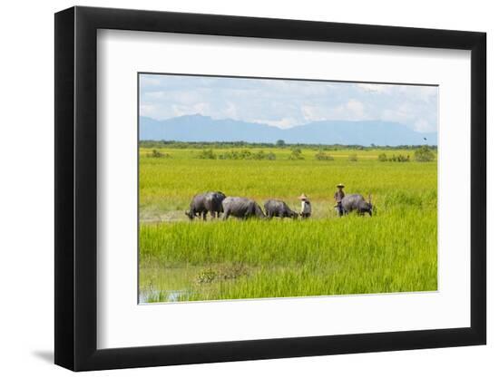 Premium Photographic Print, , large