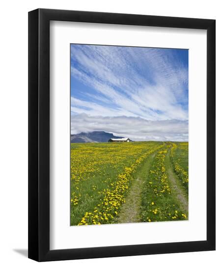 Photographic Print, , large