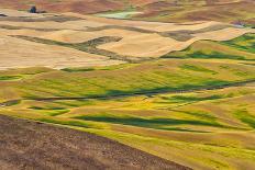 Landscape of rolling wheat field at sunrise, Palouse, Washington State, USA-Keren Su-Photographic Print