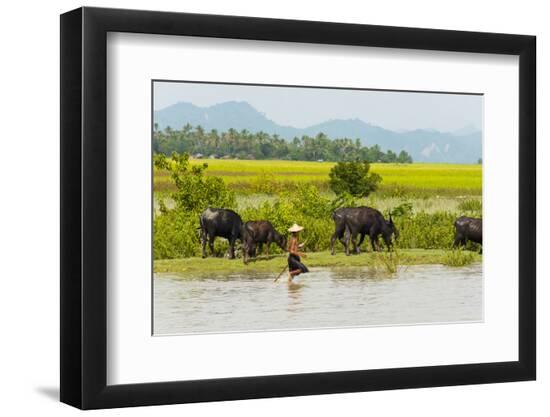 Photographic Print, , large