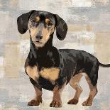 Dachshund-Keri Rodgers-Art Print