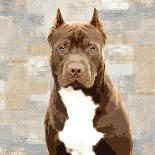 Pit Bull-Keri Rodgers-Art Print