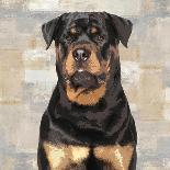 Rottweiler-Keri Rodgers-Art Print