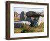 Kermario Menhirs in Carnac, Morbihan, Brittany, France, Europe-null-Framed Photographic Print