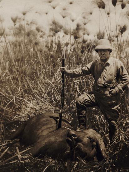 Photographic Print, , large