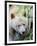 Kermode Spirit Bear, White Morph of Black Bear, Princess Royal Island, British Columbia, Canada-Eric Baccega-Framed Premium Photographic Print