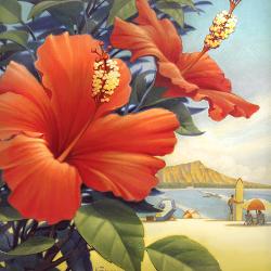 Hawaiian Flowers Posters Prints Paintings Wall Art For Sale Allposters Com