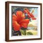 Brown Frame