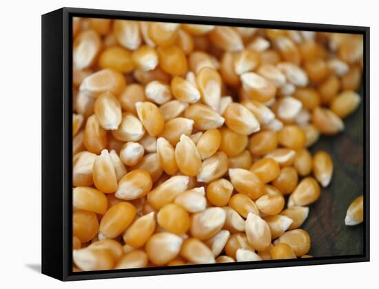 Kernels-Nicole Katano-Framed Stretched Canvas