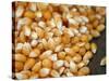 Kernels-Nicole Katano-Stretched Canvas