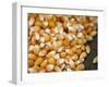 Kernels-Nicole Katano-Framed Photo