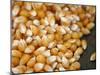 Kernels-Nicole Katano-Mounted Photo