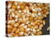 Kernels-Nicole Katano-Stretched Canvas