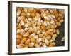 Kernels-Nicole Katano-Framed Photo