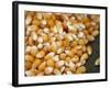 Kernels-Nicole Katano-Framed Photo