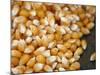 Kernels-Nicole Katano-Mounted Photo