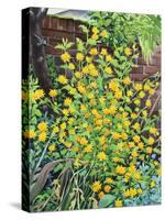 Kerria Japonica-Christopher Ryland-Stretched Canvas