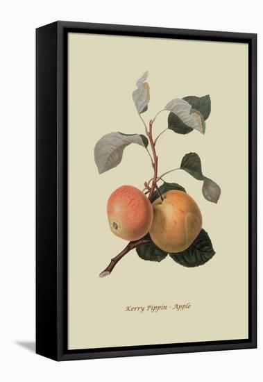 Kerry Pippin - Apple-William Hooker-Framed Stretched Canvas