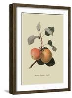 Kerry Pippin - Apple-William Hooker-Framed Art Print