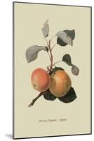 Kerry Pippin - Apple-William Hooker-Mounted Art Print