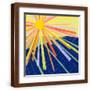 Brown Frame