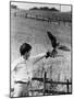 Kes, David Bradley, 1969-null-Mounted Photo