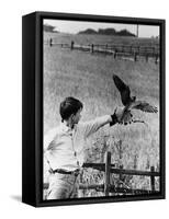 Kes, David Bradley, 1969-null-Framed Stretched Canvas