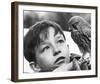 Kes-null-Framed Photo