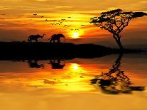 Africa Parading along the Lake-kesipun-Photographic Print