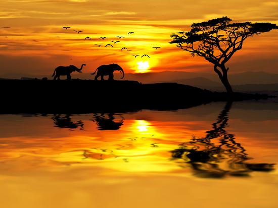 Premium Photographic Print, , large