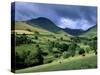 Keskadale and Derwent Fells Near Keswick, Lake District National Park, Cumbria, England, UK-Patrick Dieudonne-Stretched Canvas