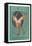 Kestos Lingerie Advertisement-null-Framed Stretched Canvas