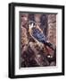 Kestral-Jeff Tift-Framed Giclee Print