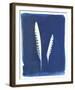 Kestrel Feathers-Sarah Cheyne-Framed Giclee Print