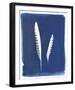 Kestrel Feathers-Sarah Cheyne-Framed Giclee Print