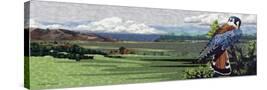 Stretched Canvas