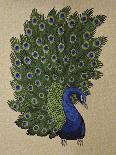 Peacock Stitched-Kestrel Michaud-Giclee Print
