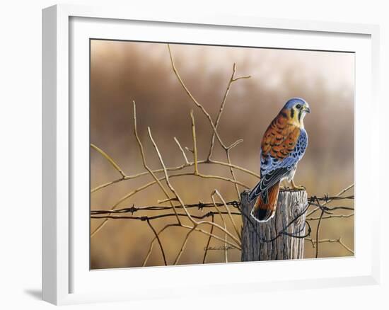 Kestrel’s Post-Richard Clifton-Framed Giclee Print