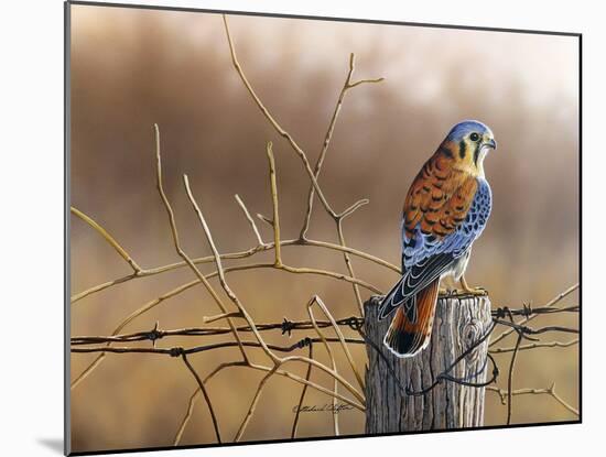 Kestrel’s Post-Richard Clifton-Mounted Giclee Print