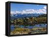 Kesugi Ridge, Denali National Park, Alaska, USA-Scott T. Smith-Framed Stretched Canvas