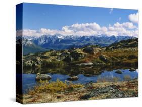 Kesugi Ridge, Denali National Park, Alaska, USA-Scott T. Smith-Stretched Canvas